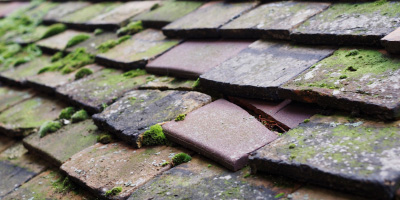 Laneham roof repair costs